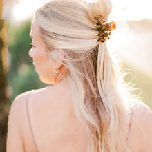 Load image into Gallery viewer, TELETIES HAIR CLIPS